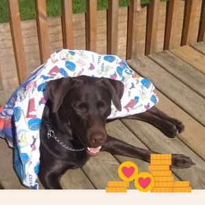 Meet your Posher, Shari